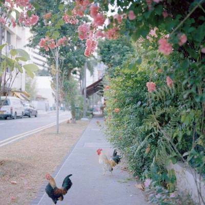 beat365平台手机app下载